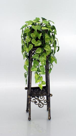 Foliage Houseplants